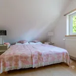 Holiday home Morsochatki - Balia, Sauna, Garden Party, Plaza Jelenia Gora