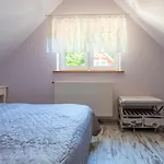 Morsochatki - Balia, Sauna, Garden Party, Plaza Holiday home