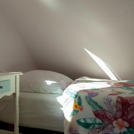 Morsochatki - Balia, Sauna, Garden Party, Plaza